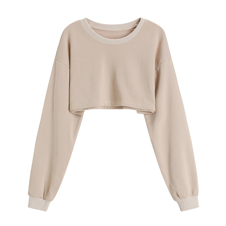 Beige Crop Sweater