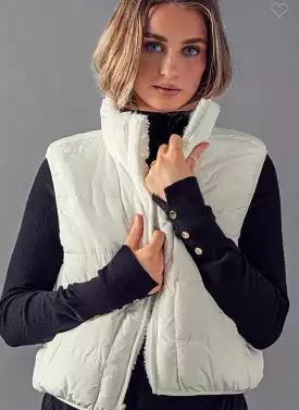 Cold And Cozy Vest