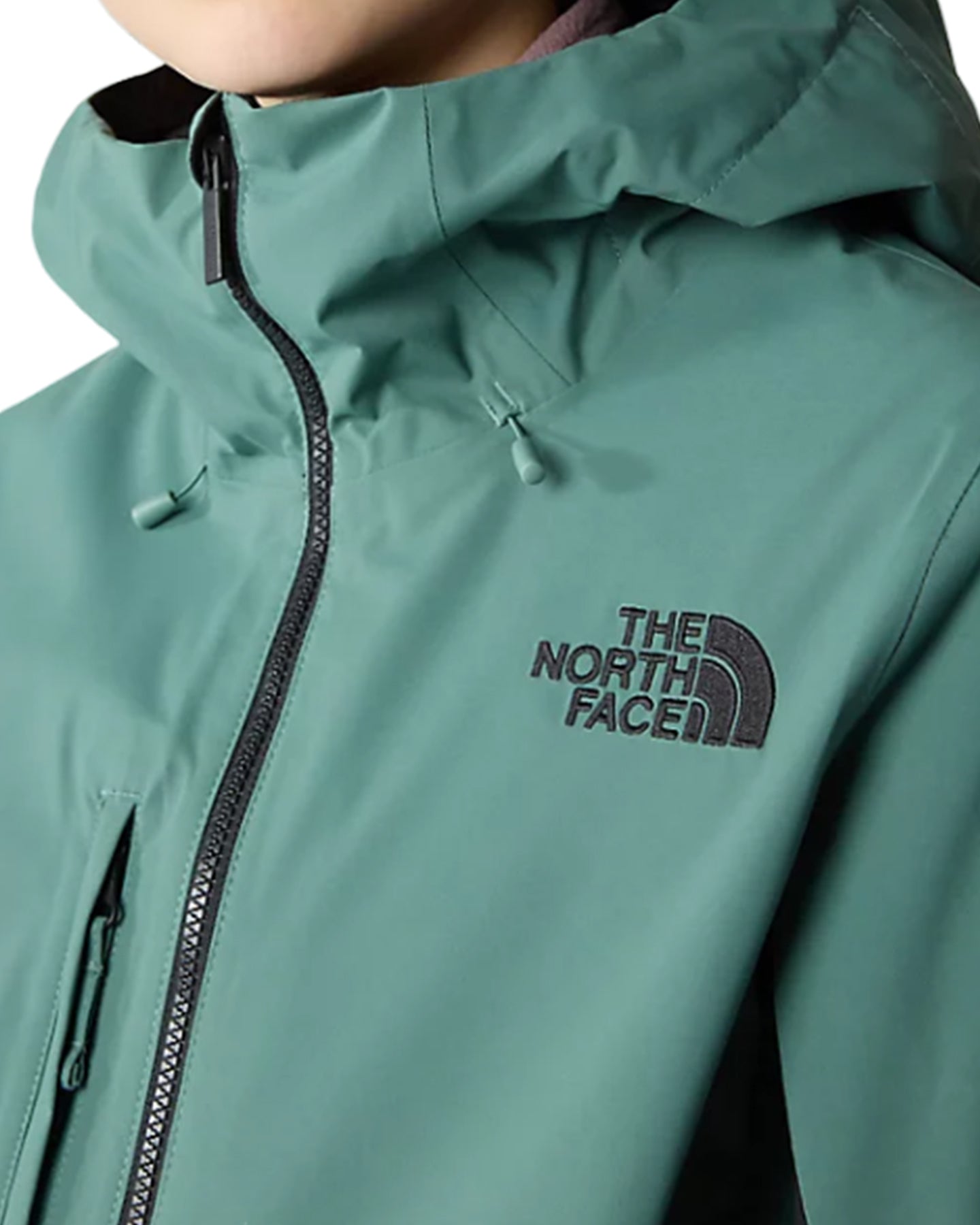 The North Face Women's Freedom Stretch Snow Jacket - Dark Sage/Tnf Black